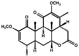 wpe9.jpg (6475 Byte)